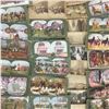 Image 6 : LARGE STEREOSCOPE CARD LOT