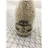 Image 1 : SASKATCHEWAN CO-OPERATIVE CREAMERY ONE QUART ADVERTISING MILK BOTTLE