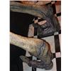 Image 3 : INDEPENDENCE DAY RESURGENCE SCREEN USED ALIEN HARVESTER QUEEN ANIMATRONIC LEGS