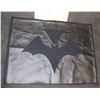 Image 1 : BATWOMAN CHEST GLYPH TEST PANEL