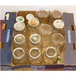 12 CANNING JARS