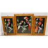 Image 1 : SET OF 3 FRAMED FEATHER ARTS