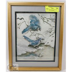 RARE 1968 VINTAGE BASIL EDE BLUE JAYS 3D FRAMED
