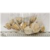 Image 1 : BAG OF 12  ASSORTED GEODES