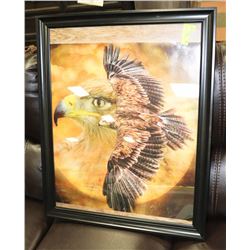FRAMED EAGLE PICTURE.