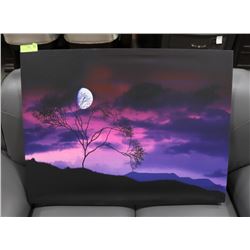 PNIK/PURPLE SKY LANDSCAPE PICTURE