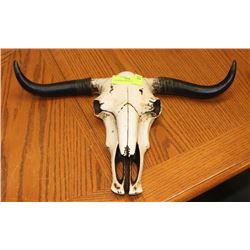 NEW RESIN STEER SKULL