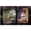 Image 1 : PAIR OF FRAMED ESTATE PICTURES
