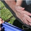 Image 3 : NEW JUMP AND DUNK TRAMPOLINE BOX 1/1 AND 2/2 MAKE