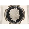 Image 2 : 2012 COOK ISLAND SILVER YELLOW COLORIZED $5