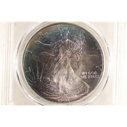 1993 AMERICAN SILVER EAGLE PCGS MS67 PRETTY