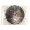 Image 1 : 1993 AMERICAN SILVER EAGLE PCGS MS67 PRETTY