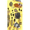 Image 2 : Prehistoric Arrowheads, Pottery Sherds, & Fossils