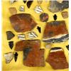 Image 4 : Prehistoric Arrowheads, Pottery Sherds, & Fossils