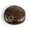 Image 1 : Polished Moroccan Septarian Nodule Stone Specimen
