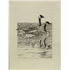 Image 1 : Limited Edition Signed Print by Lindsay B. Scott