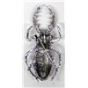 Image 2 : Large Bling Bling Rhinestone Stag Beetle Pin