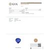 Image 6 : GIA Cert 19.04 ctw Tanzanite and Diamond Ring - 14KT White Gold