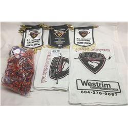 LOT OF VANCOUVER GIANTS MERCHANDISE AND OTHER COLLECTIBLES
