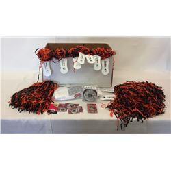 LOT OF SPORTS COLLECTIBLES