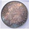Image 2 : 1883 MORGAN DOLLAR ICG MS-67