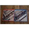 Image 2 : 2 Beatles Records