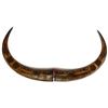 Image 1 : Hand Carved Water Buffalo Horns