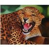 Image 1 : Signed Oil on Canvas Painting, African Leopard