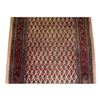 Image 1 : Bidjar Runner