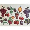 Image 1 : 19thc Chromolithograph Print, Fruit