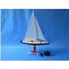 Image 11 : Ready To Run Remote Control Endeavour 30" Limited