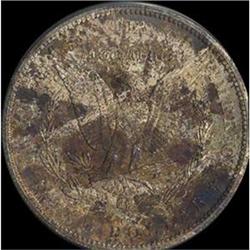 [L#3186] 1884-CC $1 MS60 tarnished