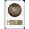 Image 1 : [L#3353] 1904-O $1 NGC MS65