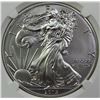 Image 2 : 2015 AMERICAN SILVER EAGLE