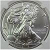 Image 2 : 2019 AMERICAN SILVER EAGLE