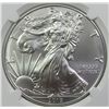 Image 2 : 2019 AMERICAN SILVER EAGLE