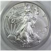 Image 2 : 2013-W BURNISHED AMERICAN SILVER EAGLE