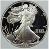 Image 2 : 1989 AMERICAN SILVER EAGLE