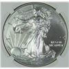 Image 2 : 2015 AMERICAN SILVER EAGLE