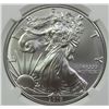 Image 2 : 2019 AMERICAN SILVER EAGLE