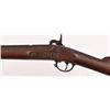 Image 8 : Springfield Model 1861 Musket