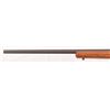 Image 8 : Ruger M77 Mark II .243 Rifle