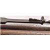 Image 9 : Winchester Model 1905 SL .32 Rifle