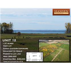 Unit 12
