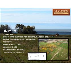 Unit 13