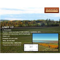 Unit 17