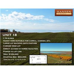Unit 18