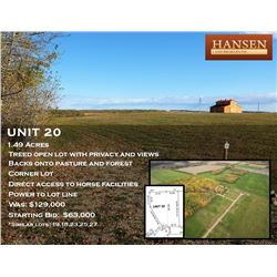 Unit 20