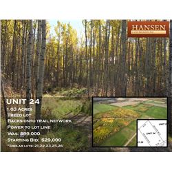 Unit 24