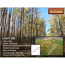 Unit 25